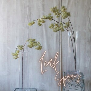 [tXv[ tFCNO[  A[eBtBVt[ A[gt[ VNt[