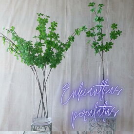 フェイクグリーン ドウダンツツジ （102cm）人工観葉植物 造花 アーティフィシャルフラワーアートフラワー シルクフラワー ディスプレイ ドウダン
