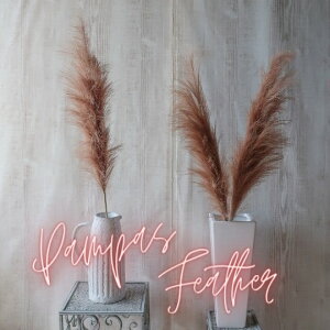 ppXtFU[ iuEjppX ppXOX  1{ A[eBtBVt[ A[gt[ VNt[ Vr[ Vr[VbN zCgCeA Vr[z