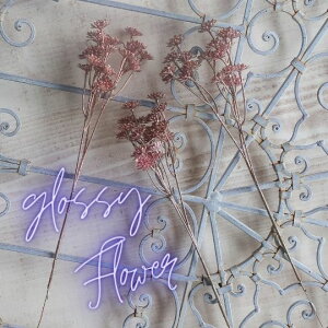 ObV[t[ 3{Zbg  A[eBtBVt[ A[gt[ VNt[ tFCNt[ S[h sNS[h  