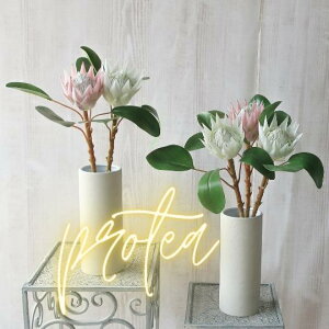  veA 1{ (sN zCgj A[gt[ VNt[