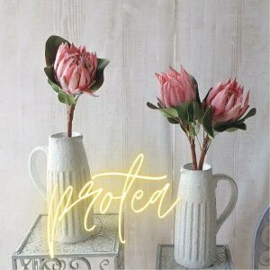  LOveA 1{ (sN j A[gt[ VNt[