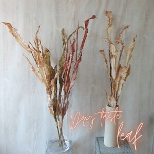  hCeBXg[t iS3J[jA[eBtBVt[ A[gt[ VNt[ tFCNt[ Vr[ Vr[VbN@CeAt[ fBXvC