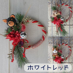 u1634ނIׂta[Xi1634ށj [X  [X a[X ֏ ybgThbOT 蕨 v[g t