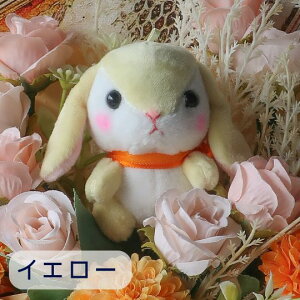 ԑ ̉ԑi12 6J[j  ETM rbg Rabbit ʂ v[g 蕨 a t[Mtg ybg Mtg j \ Ǝ   hV̓  