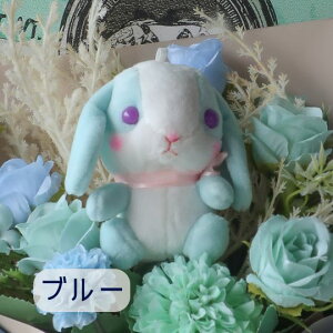 ԑ ̉ԑi12 6J[j  ETM rbg Rabbit ʂ v[g 蕨 a t[Mtg ybg Mtg j \ Ǝ   hV̓  