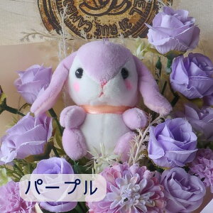 ԑ ̉ԑi12 6J[j  ETM rbg Rabbit ʂ v[g 蕨 a t[Mtg ybg Mtg j \ Ǝ   hV̓  