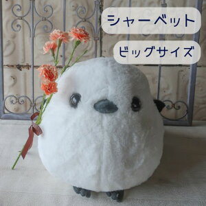 ̓ J[l[V V}GiK̂ʂ݃Zbgi5J[j V}GiK GiK ܂Ȃ ̗d ̓t[Mtgv[g 蕨 a Mtg Ǝ   