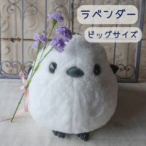 ̓ J[l[V V}GiK̂ʂ݃Zbgi5J[j V}GiK GiK ܂Ȃ ̗d ̓t[Mtgv[g 蕨 a Mtg Ǝ   