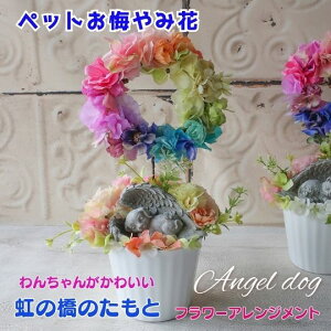 ̋̂ G[hbO t[AWgiC{[ [Xj At[   Ck DOG v[g 蕨 ybg   ybg֑ AW 