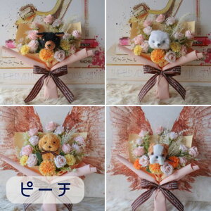 u1636ނIׂ錢̉ԑvi6J[j  ԑ ybg 蕨 v[g a t[Mtg j  \ Ǝ  ̓Mtg  ybg{  