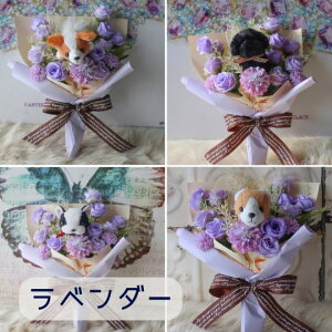 �u16����36��ނ���I�ׂ錢�̉ԑ��v�i6�J���[�j �y�b�g �ʂ������ �� �u�[�P �� �ԑ� ������ �������� ������ ���̋� �o���[���u�[�P ���킢�� �����ԑ����蕨 ���D�� �v���[���g �a���� 