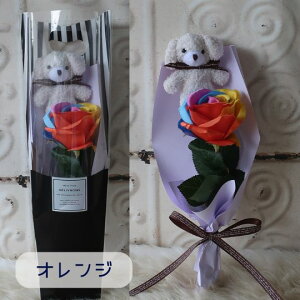 u񂿂 ݉ ɃC{[[Ỷԑv킢 ̉ԑi5 3J[j̋   ybg  蕨  DOG ԑ ̓t[Mtgv[g a