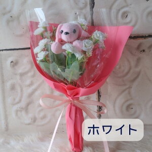 _bNXth ԑ ̉ԑ   ʂ v[g 蕨 a t[Mtg Mtg j \ Ǝ   ̓ hV̓  _bNX ~j`A_bNX 