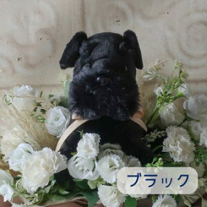 ԑ ViEU[̉ԑ i6J[jybg  ݉Ԃʂݓԑ  V[Y  DOG ʂݓԑ ~bNԑ \ ̓t[Mtgv[g 蕨 a