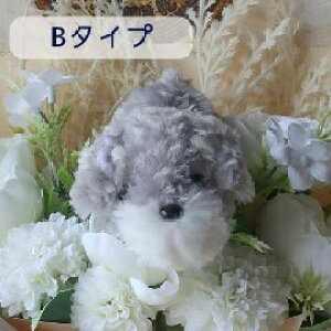 ԑ ViEU[̉ԑi6J[j ViEU[ ʂݓԑ  DOG ԑ ̓t[Mtgv[g 蕨 a Mtg Ǝ   ̓