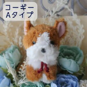ԑ R[M[̉ԑi6J[j R[M[ ʂݓԑ EFVR[M[  DOG ԑ ̓t[Mtgv[g 蕨 a Mtg Ǝ   ̓