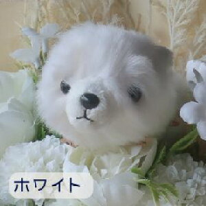 ԑ |jẢԑi6J[ j̉ԑ  |jA ʂ v[g 蕨 a t[Mtg  Mtg j \ Ǝ   hV̓  u[P 