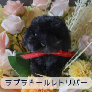 go[̉ԑi6J[jS[fgo[ uh[go[ go[ uh[ ̉ԑ  ԑ ʂݓԑ DOG ̓t[Mtgv[g 蕨 a