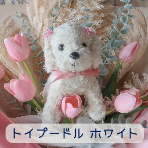 `[bv Ƃ񂿂̉ԑi4J[ 15j̉ԑ ybg ԑ  ʂ v[g 蕨 a t[Mtg j  \ Ǝ   ̓Mtg  