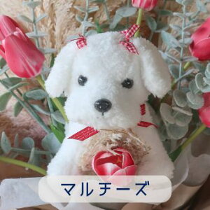 `[bv ƌ̉ԑi4J[ 15j̉ԑ ybg ԑ  ʂ v[g 蕨 a t[Mtg j  \ Ǝ   ̓Mtg  ybg