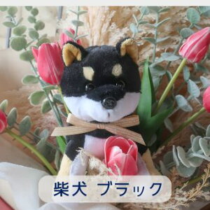 `[bv Ƃ񂿂̉ԑi4J[ 22j̉ԑ ybg ԑ  ʂ v[g 蕨 a t[Mtg j  \ Ǝ   ̓Mtg  