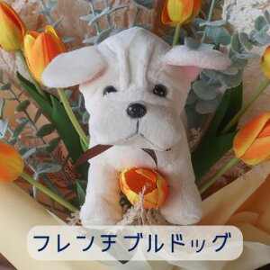 `[bv ƌ̉ԑi4J[ 15j̉ԑ ybg ԑ  ʂ v[g 蕨 a t[Mtg j  \ Ǝ   ̓Mtg  ybg