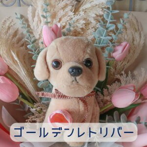 `[bv Ƃ񂿂̉ԑi4J[ 22j̉ԑ ybg ԑ  ʂ v[g 蕨 a t[Mtg j  \ Ǝ   ̓Mtg  