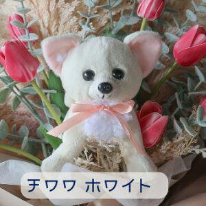 `[bv ƌ̉ԑi4J[ 15j̉ԑ ybg ԑ  ʂ v[g 蕨 a t[Mtg j  \ Ǝ   ̓Mtg  ybg