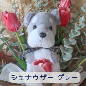 `[bv Ƃ񂿂̉ԑi4J[ 22j̉ԑ ybg ԑ  ʂ v[g 蕨 a t[Mtg j  \ Ǝ   ̓Mtg  