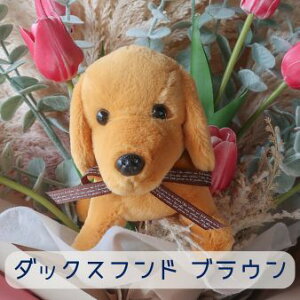 `[bv Ƃ񂿂̉ԑi4J[ 22j̉ԑ ybg ԑ  ʂ v[g 蕨 a t[Mtg j  \ Ǝ   ̓Mtg  