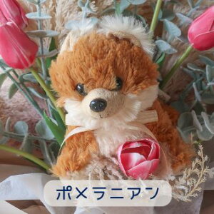 `[bv ƌ̉ԑi4J[ 15j̉ԑ ybg ԑ  ʂ v[g 蕨 a t[Mtg j  \ Ǝ   ̓Mtg  ybg