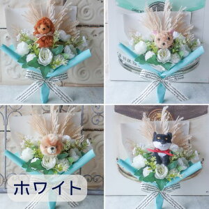 u1634ނIׂ錢̉ԑvi6J[j  ԑ ybg 蕨 v[g a t[Mtg j  \ Ǝ  ̓Mtg  ybg{  