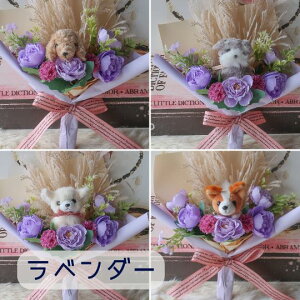 u1634ނIׂ錢̉ԑvi6J[j  ԑ ybg 蕨 v[g a t[Mtg j  \ Ǝ  ̓Mtg  ybg{  