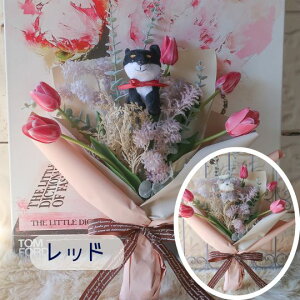 `[bv Ƃ񂿂̉ԑi34 4J[j̉ԑ ybg ԑ  ʂ v[g 蕨 a t[Mtg j  \ Ǝ   ̓Mtg  