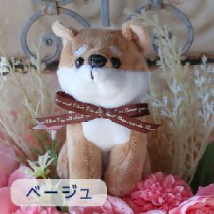 ԑ Č̉ԑi6J[j   ʂݓԑ  Č Hc ~bN DOG ̓t[Mtgv[g 蕨 a Mtg Ǝ   ̓   
