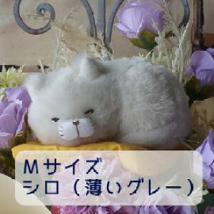 `[bv ˂̉ԑi10 4J[ jԑ ˂ lR L ʂݓԑ v[g 蕨 a t[Mtg j Ǝ    L̉ԑ ˂̉ԑ ̓M