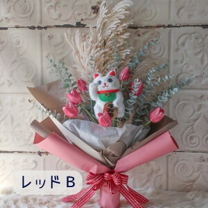 `[bv ƏL̉ԑi2^Cv6J[jL̉ԑ ybg ԑ ˂ ʂ v[g 蕨 a t[Mtg j  \ Ǝ   ̓Mtg  