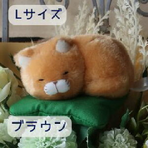 ̓ ԑ L̉ԑ ˂ OєL ݂ NlR ˂ L lR L ʂ ԑ v[g 蕨 a t[Mtg j \ Ǝ    L̉ԑ l