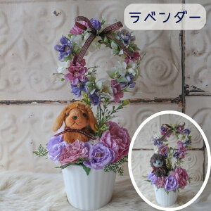 7ނ̂񂿂̃[Xtt[AWg i` v[h gCv[h ViEU[ R[M[ _bNXth go[ uh[ S[fgo[ pO p