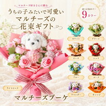 楽天市場】マルチーズ ぬいぐるみ（花・ガーデン・DIY）の通販