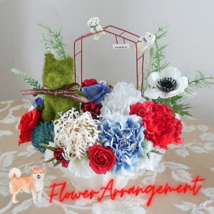 ̓ ̓Mtg Aj}X Č̃t[AW DOG   VNt[ A[gt[ hV̓ a t[Mtg t[AWg ʂ