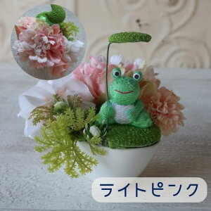   JG̃~jAWi3J[j JG  frog ^ hV̓ ̓t[Mtg̓Mtg v[g 蕨 a Mtg Ǝ   j