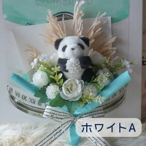 q̓ p_̉ԑi2^Cv 6J[jԑ  p_ ς ʂ ԑ v[g 蕨 a t[Mtg j \ Ǝ    p_̉ԑ 