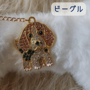 ̓ ԑ ق˂ u[P ̉ԑ  ԑ ̓ v[g v[h |jA _bNXth ViEU[ t`uhbO r[O RbJ[ LoA ` Č }