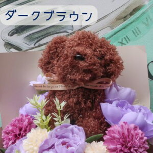 gCv[h̉ԑi 6J[ jybg ԑ  Ck  DOG dog ʂ ԑ v[g 蕨 a t[Mtg j \ Ǝ     ̉ԑ C