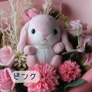 ԑ ̉ԑi6J[j  ETM rbg Rabbit ʂ v[g 蕨 a t[Mtg ybg Mtg j \ Ǝ   hV̓  u[P 
