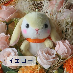 ԑ ̉ԑi6J[j  ETM rbg Rabbit ʂ v[g 蕨 a t[Mtg ybg Mtg j \ Ǝ   hV̓  u[P 