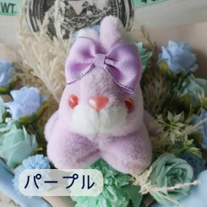 ԑ ̉ԑi6J[j  ETM rbg Rabbit ʂ v[g 蕨 a t[Mtg ybg Mtg j \ Ǝ   hV̓  u[P 