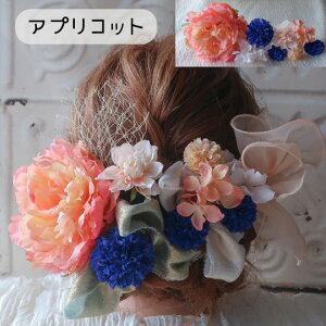 l ؂₩ȃ{t sIj[̔ 12_Zbg { `[{ Ǝ  n̓ l̓ \΂̏W   a  U  OB 䉖  ܎O